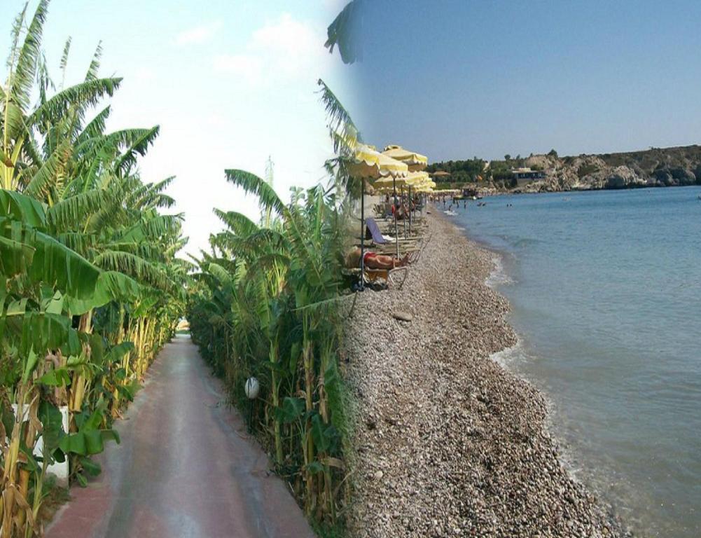 Alfa Hotel Kolymbia Værelse billede